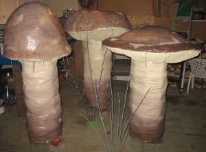 mushrooms1